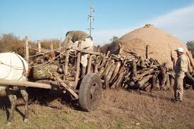 Elegía escrita en un depósito rural de carbón